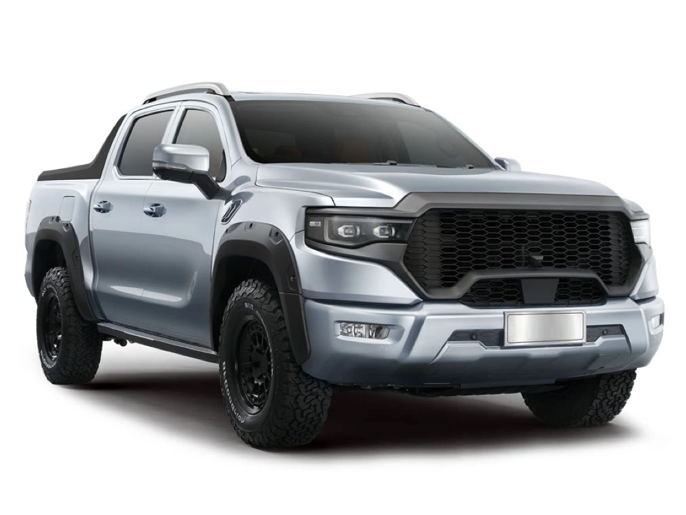 Foton PickUp Silber