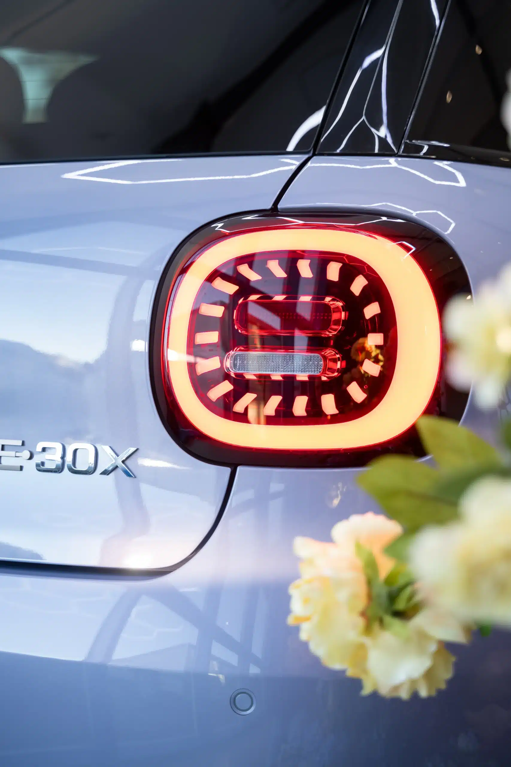 JAC E30X bei HEINEMANN